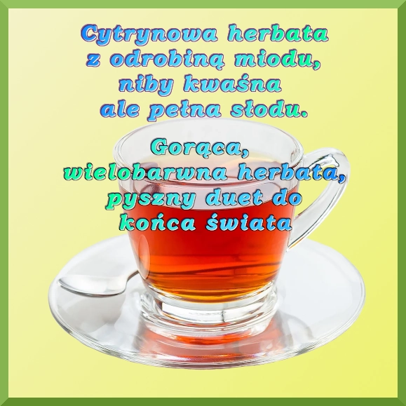 humor na czwartek