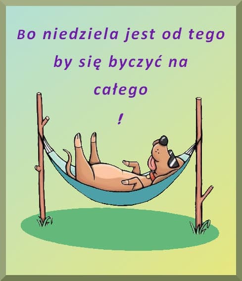 humor na niedziele